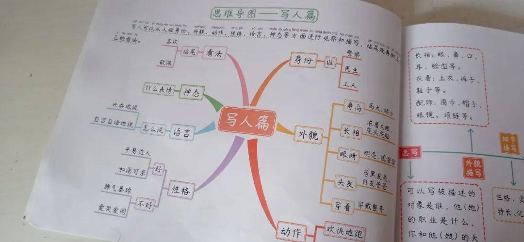 拿"写人篇"来举例,书里先用思维导图告诉孩子,写人从人物身份,外貌