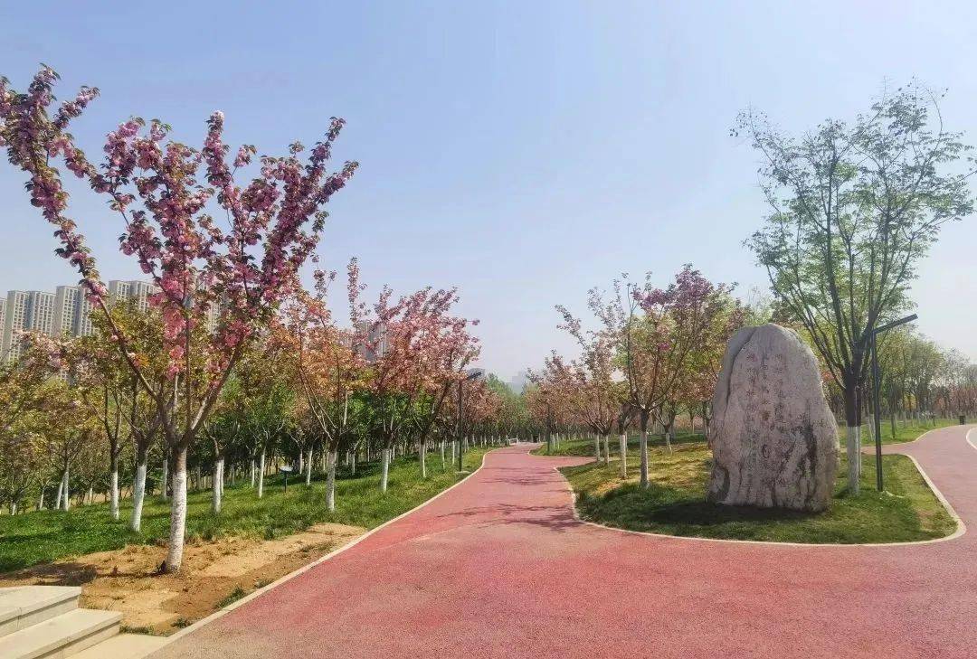 来常宁新区,这里春光无限好~_公园_步道_春色