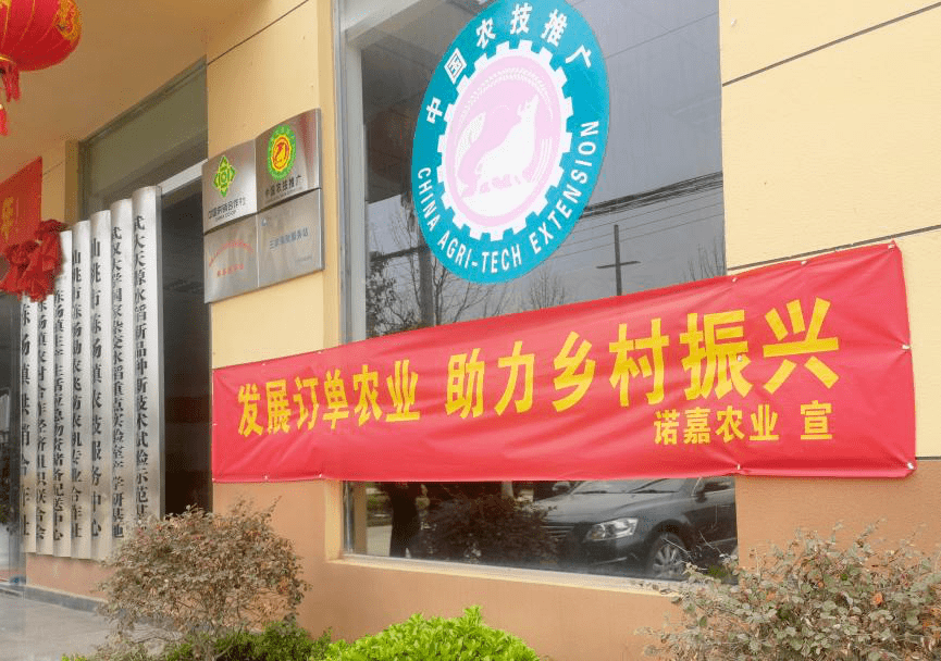 种植_胡传道_水稻