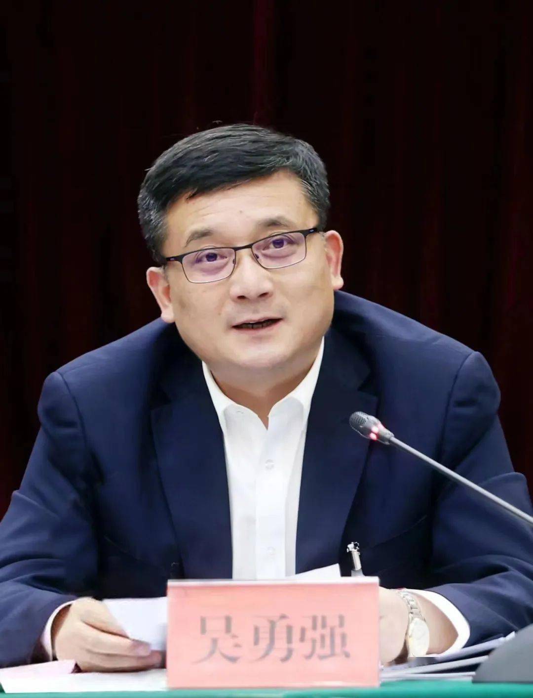 市"两会"期间,浦口代表团团长,浦口区委书记吴勇强表示,"政府工作报告