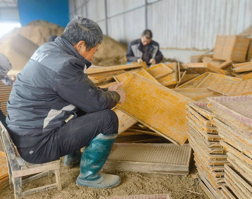 种植_胡传道_水稻