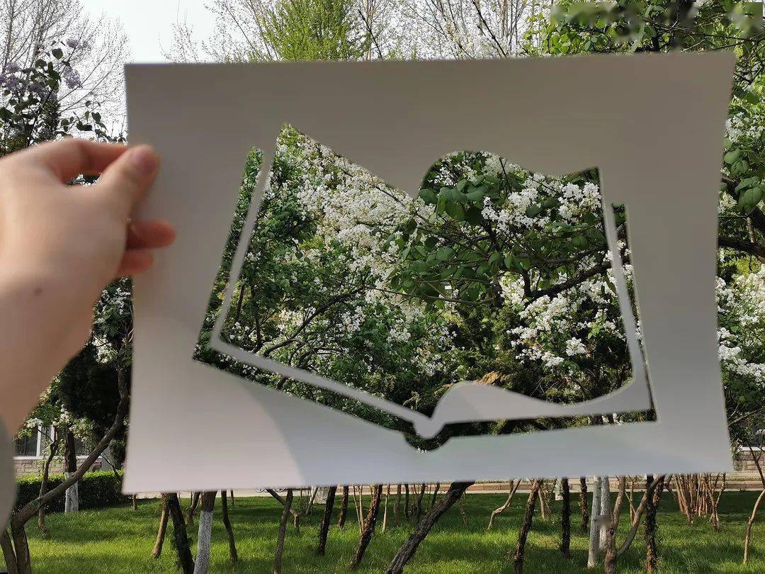 enjoy the spring扫码关注我们设计|王端端文案|郑桂哲审核|程川生