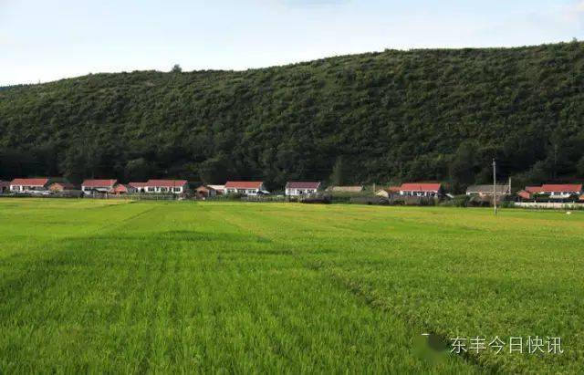 农民画之乡东丰