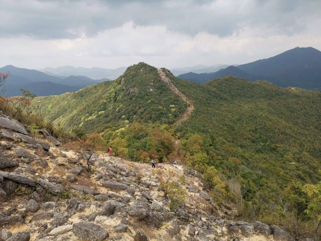 惠东梁化鸡笼山,起点七星墩,终点梁化梅园,全程12公里左右,最高海拔
