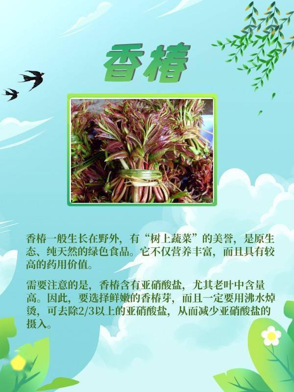 香椿、蕨菜、苋菜这些野菜是春天的味道_搜狐网