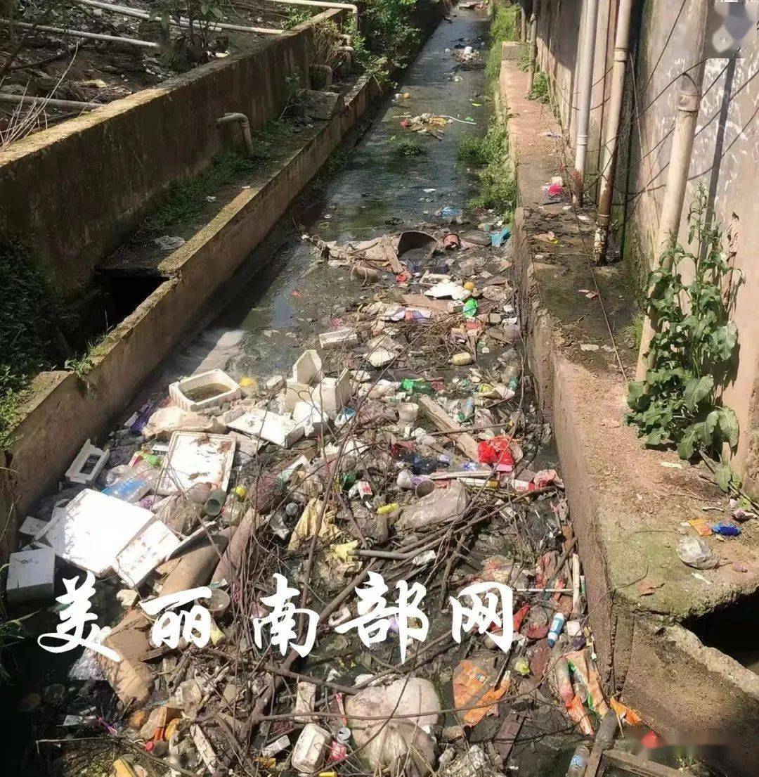 平南县丹竹镇污染图片