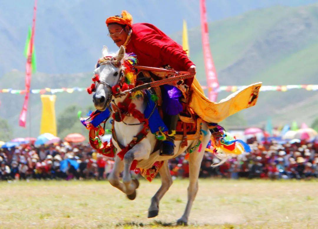 在每年玉树赛马节来临之时,玉树州各县草原近郊帐篷簇拥,牛马逡巡,前