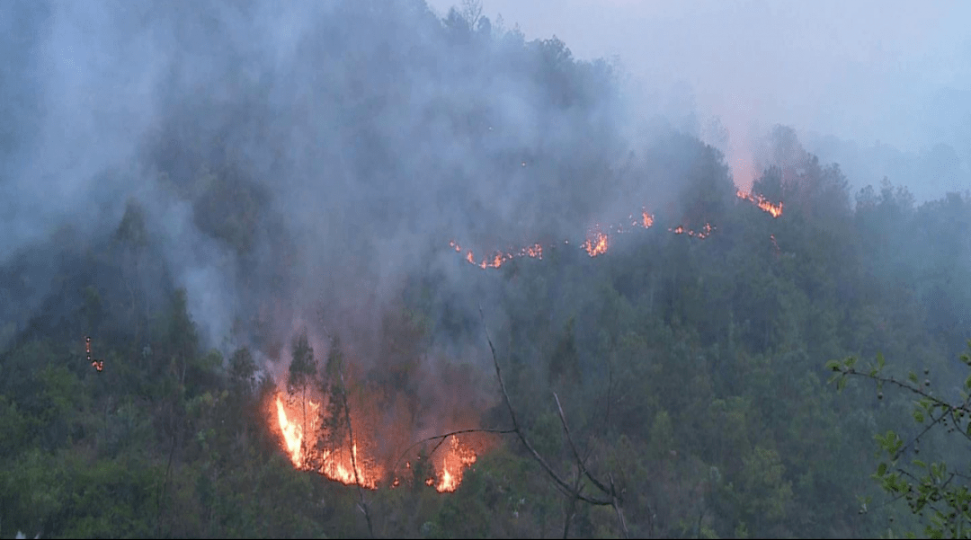 大理通报9起森林火灾典型案例