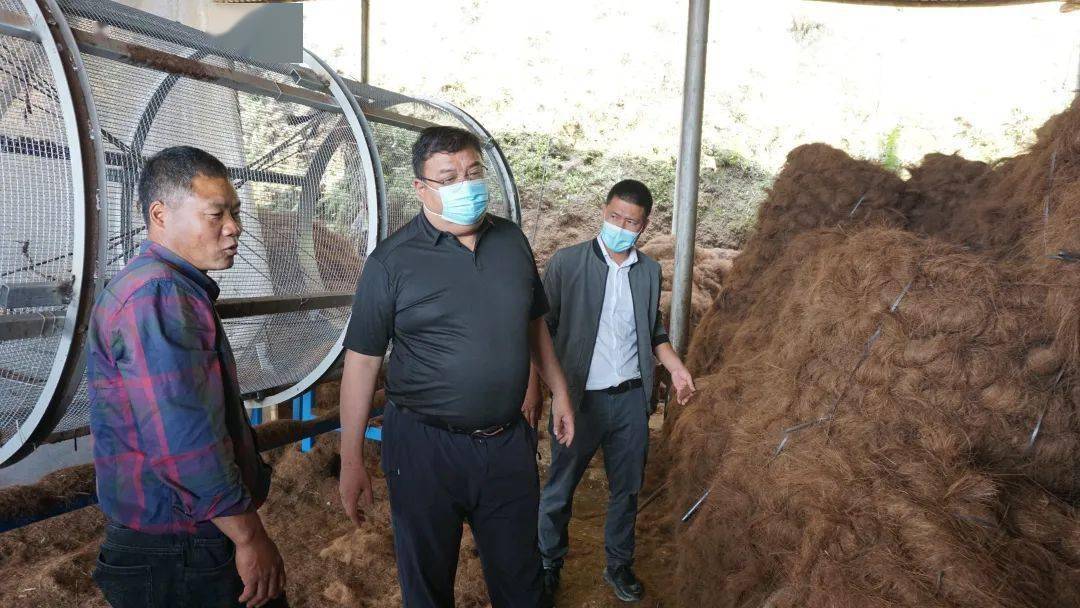 阿扎河村委会麻栗寨,许周贵棕丝加工厂,石头寨乡张龙周棕丝厂,碧苗