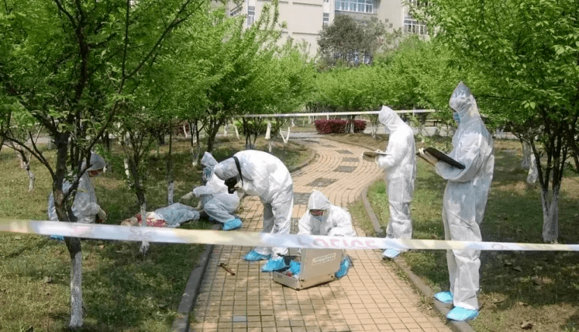 哇!你们是不是毕业就去当特工啊?_刑侦_专业_犯罪