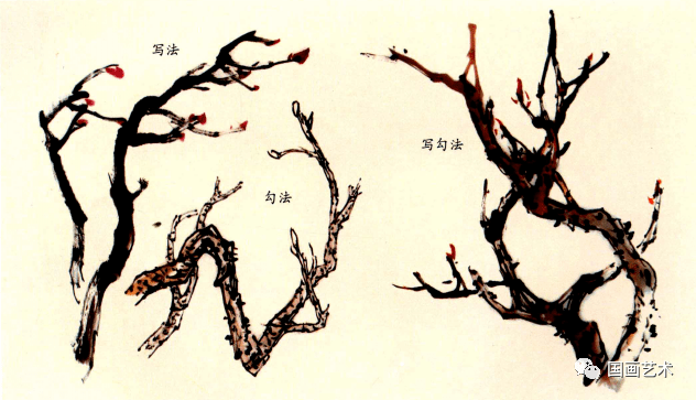 画牡丹枝干最好有画树特别是画梅的基础,与花和叶相比,画枝干最吃功夫