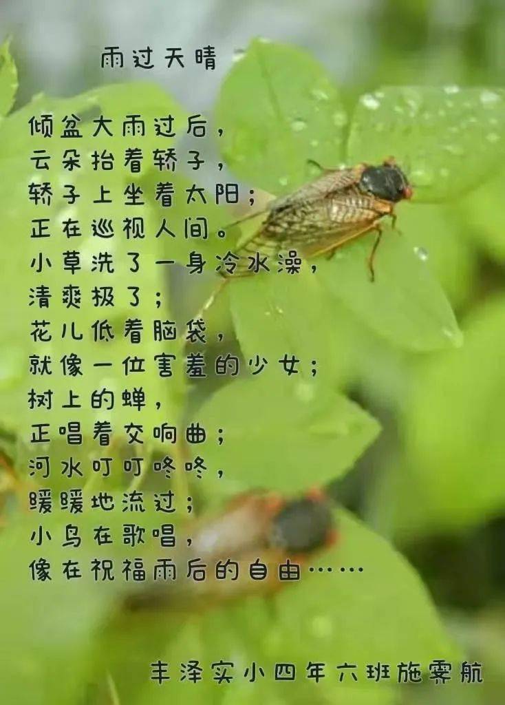 语文老师们还充分用好这本教科书,通过诗歌朗诵,主题日记作文等等各具