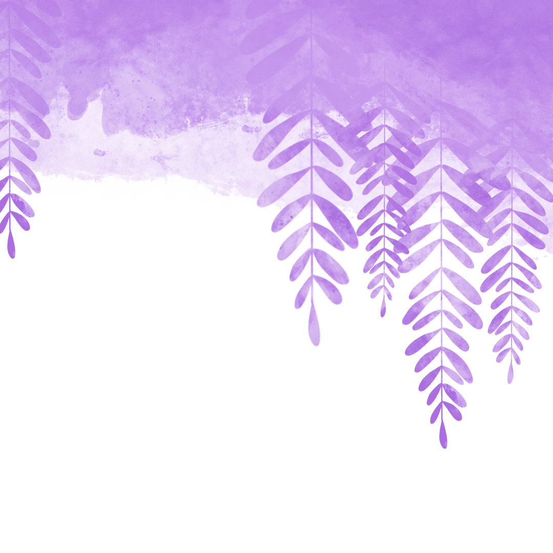 春天总要约一次,紫藤花下的见面_无锡_江阴_紫色