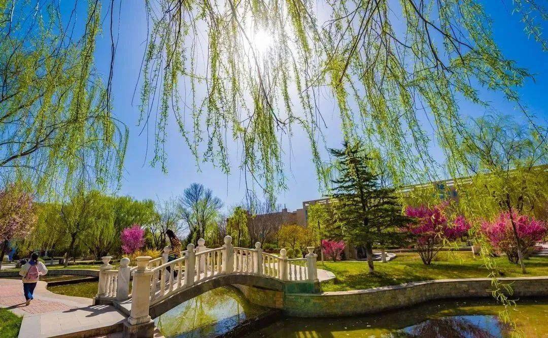 兰州_校园_生机