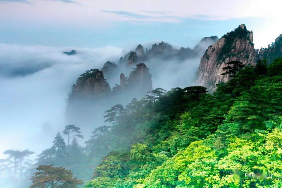 四季黄山相约春天饱和度拉满的季节里黄山到底是什么颜色