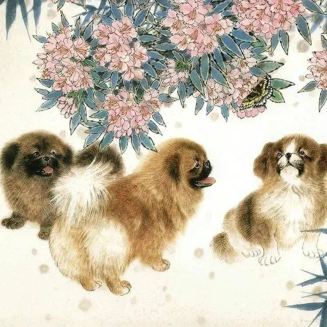 古代文化中的狗_宠物_主人_成语