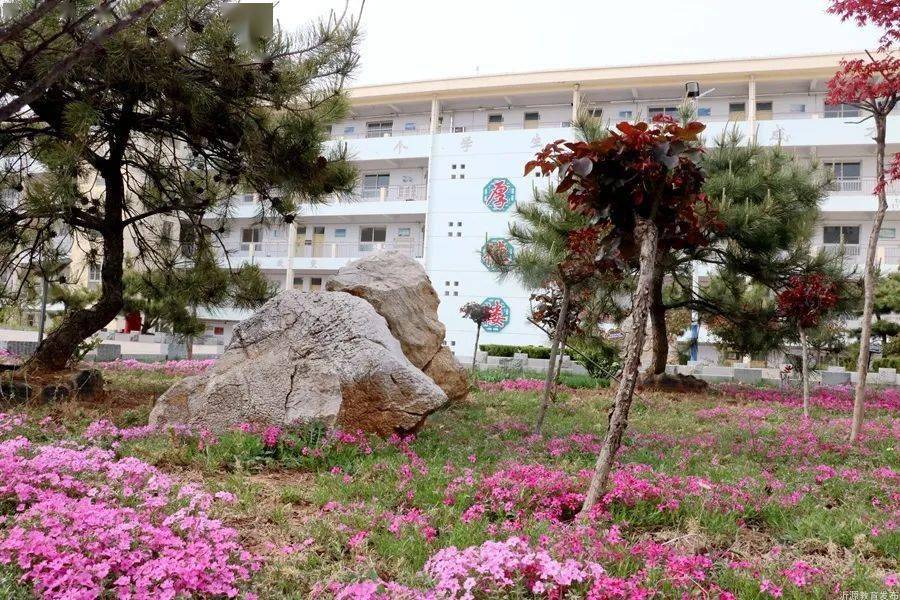 里中学执行校长 闫志刚|共克时艰 静待杏坛花再烂漫_工作_防疫_沂源县