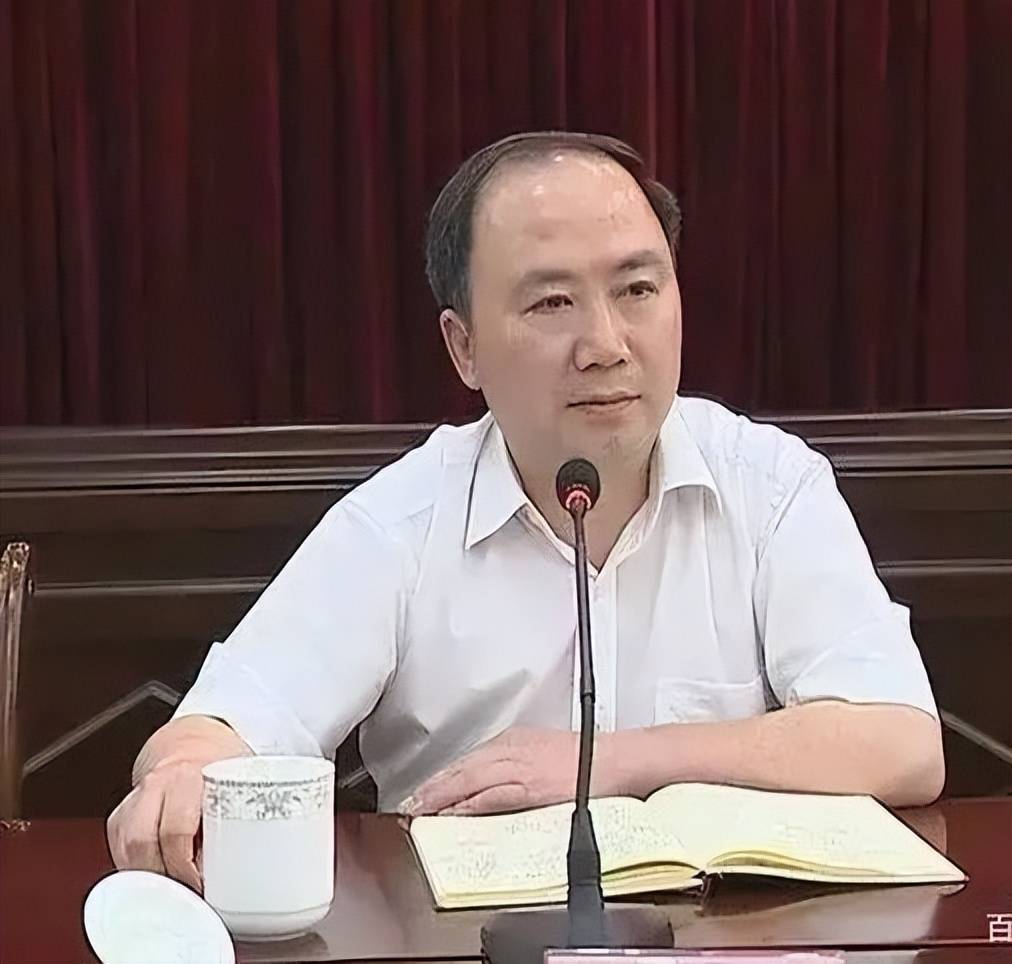 2021年蓬安县委书记图片