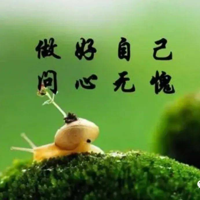 做人,尽本分,做事,凭良心_世间_都在来_缘起