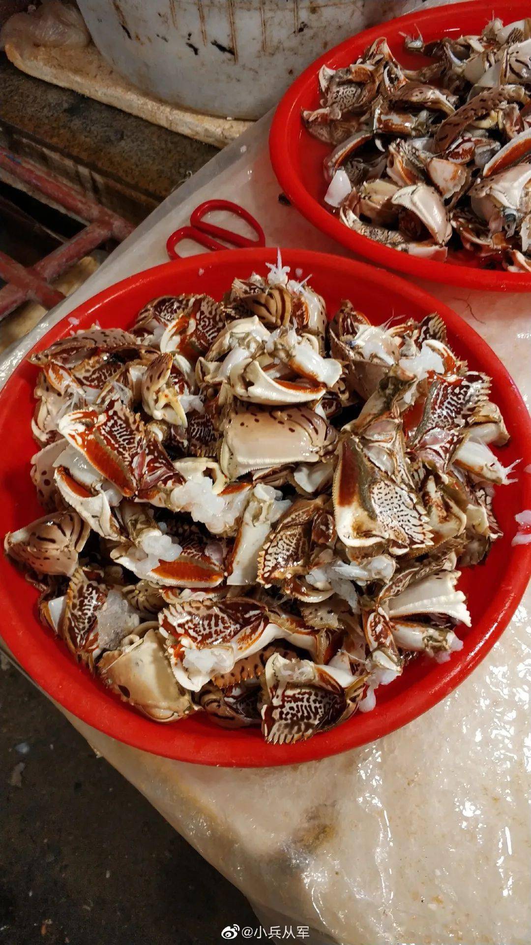 云享美食东山岛这些海鲜名字不好听但却很好吃