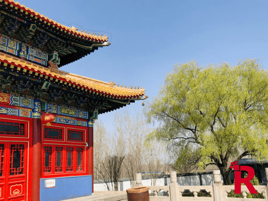 明月禅寺春意正浓 容城县融媒体中心 张培培摄最美不过四月天正是一年