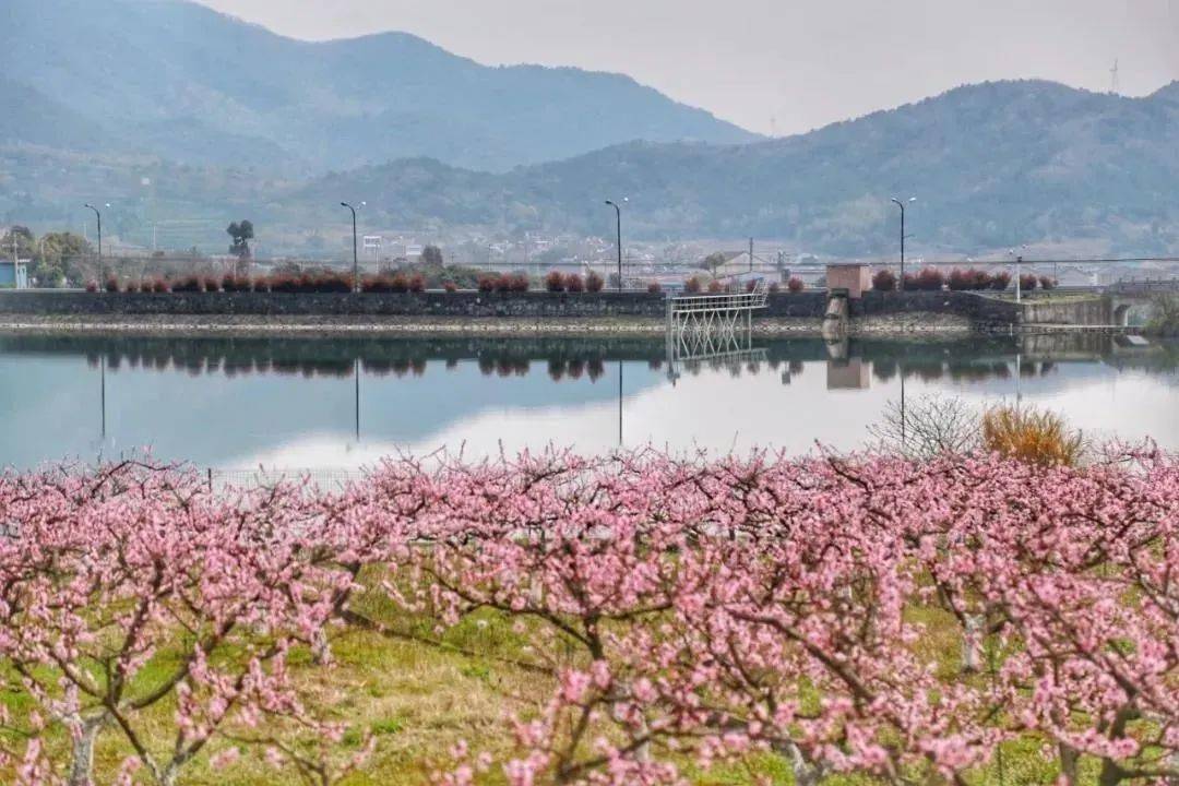 宅家雲遊象山,山有峰頂,海有彼岸,一切皆有回甘_塗茨鎮_旭拱_旅遊