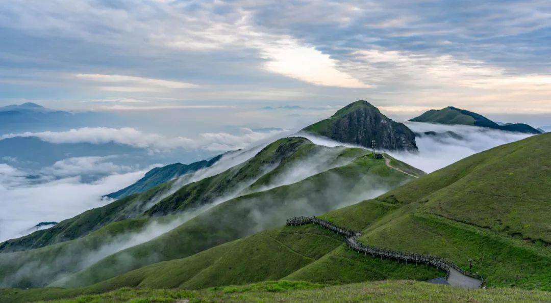 人间四月天,带你感受武功山的绿意盎然!_萍乡_进行_生命力