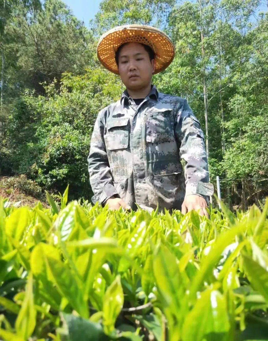 大代志全国好茶在这里都可以查到爱喝茶的人速看