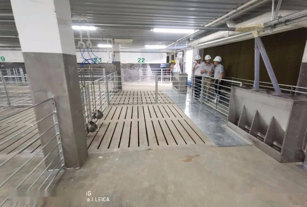 图说多层猪舍的建设探秘