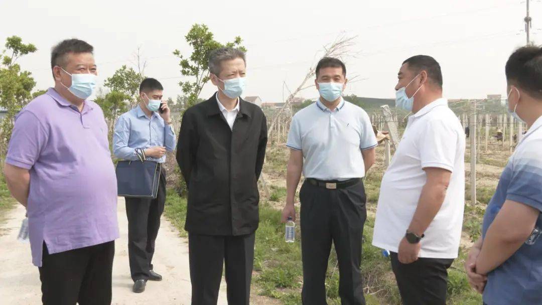 李集街 | 人大代表走基层听民意话发展_活动_新洲区_建设