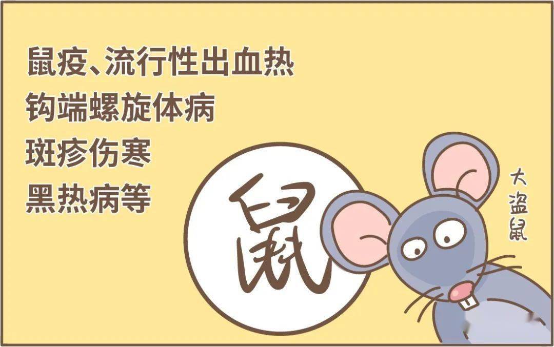 提醒丨这些动物传播各种传染病时刻潜伏在我们身边