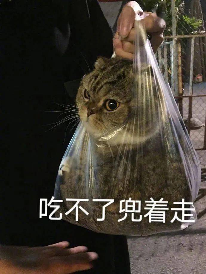 熊猫头