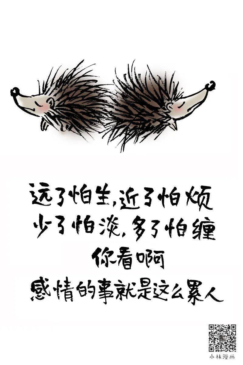 幽默哲理漫画绝了