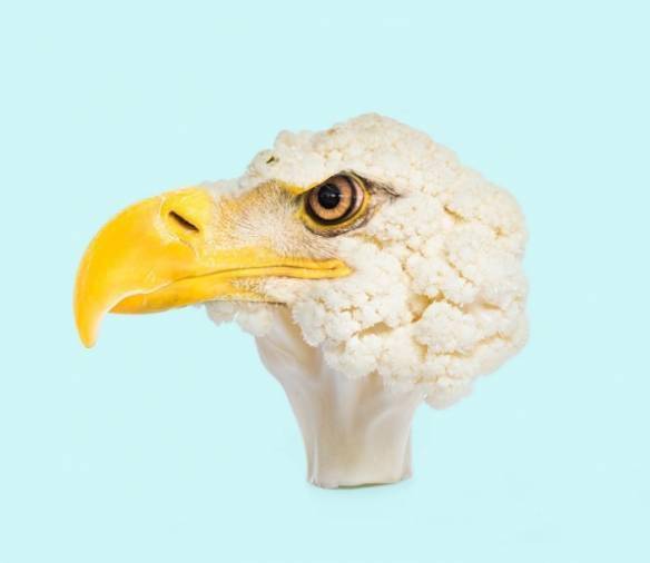 有趣ps艺术家制作食材与动物的结合意外的和谐