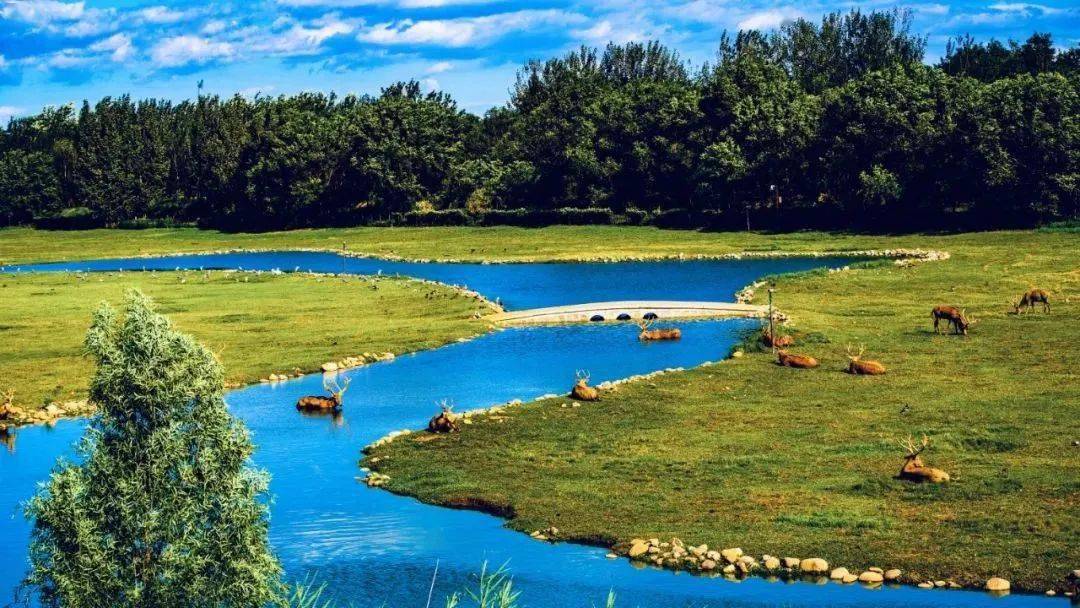 安家南海子公园美宅全家庭四居满足您的理想生活