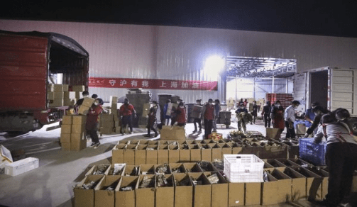 安徽黄山：1000箱蔬菜食品支援上海