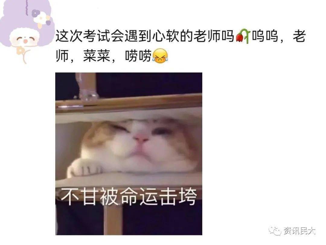 大家讲述了自己的心酸经历并在各大平台上发表感言「老师,菜菜,捞捞」