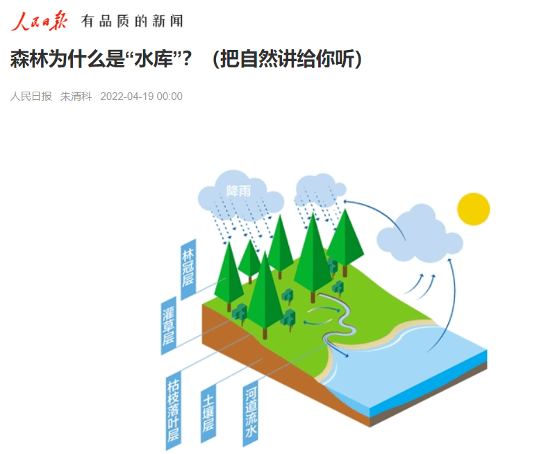 森林的涵养水源功能不仅指拦蓄降水或调节径流的能力,其各结构层次在