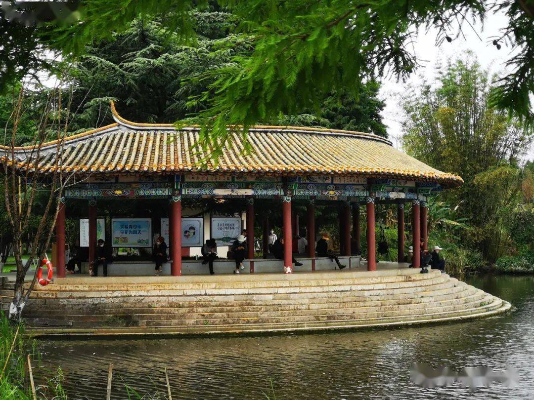 谷雨之前访庾园滇池一隅来探春