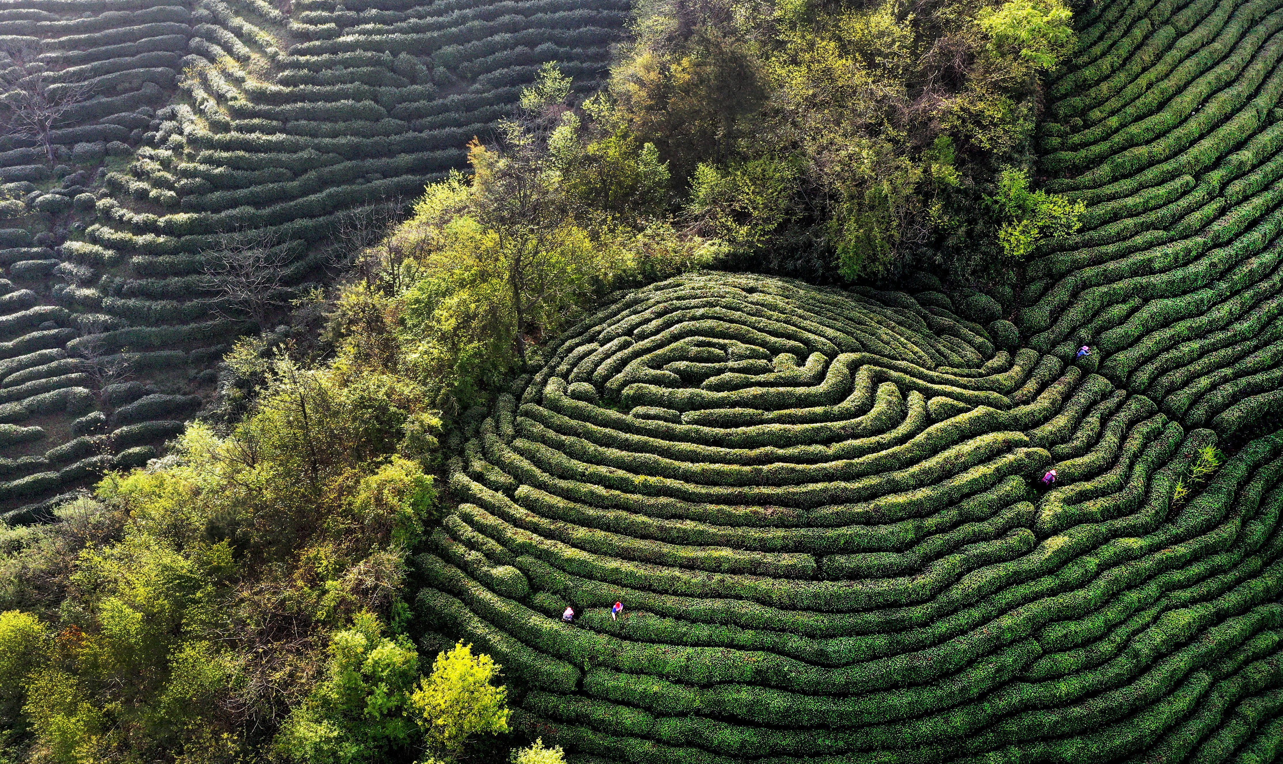 陕西高山图片