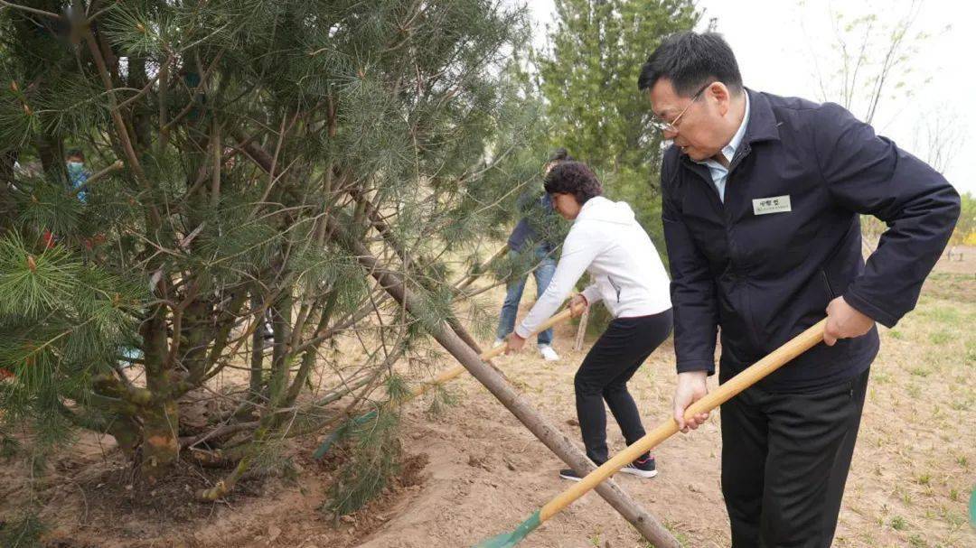 植树活动" 共谋北京城市副中心园林绿化高质量发展_绿色_黎哲_秦涛