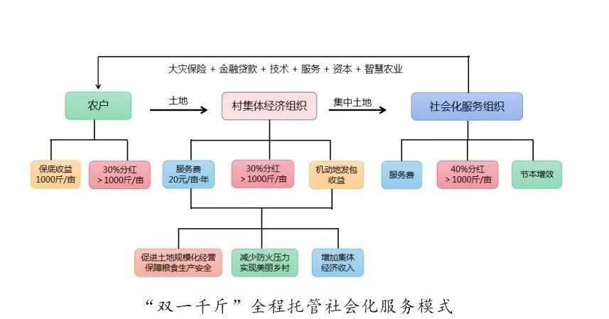 台儿庄区:双一千斤土地托管模式的实践及成效