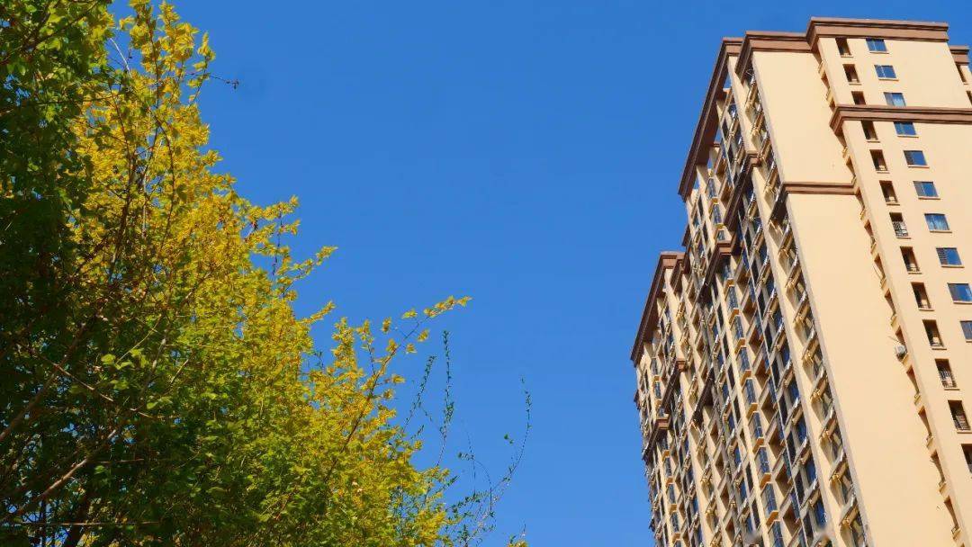 磁县"口袋公园"上新啦!把绿色装进生活……_城市_建设_游园