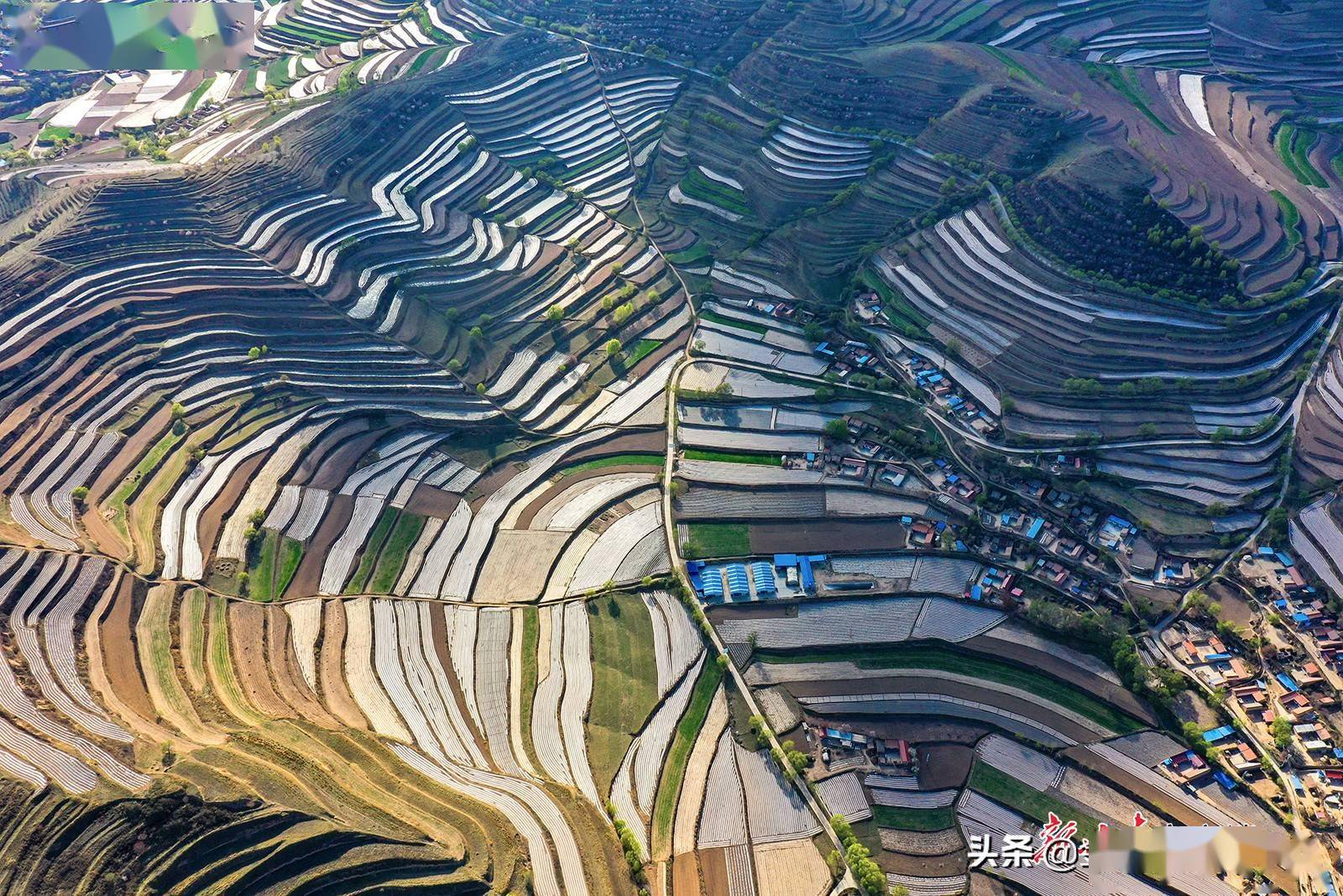 会宁县春日梯田美如画_白银市_甘肃_日报