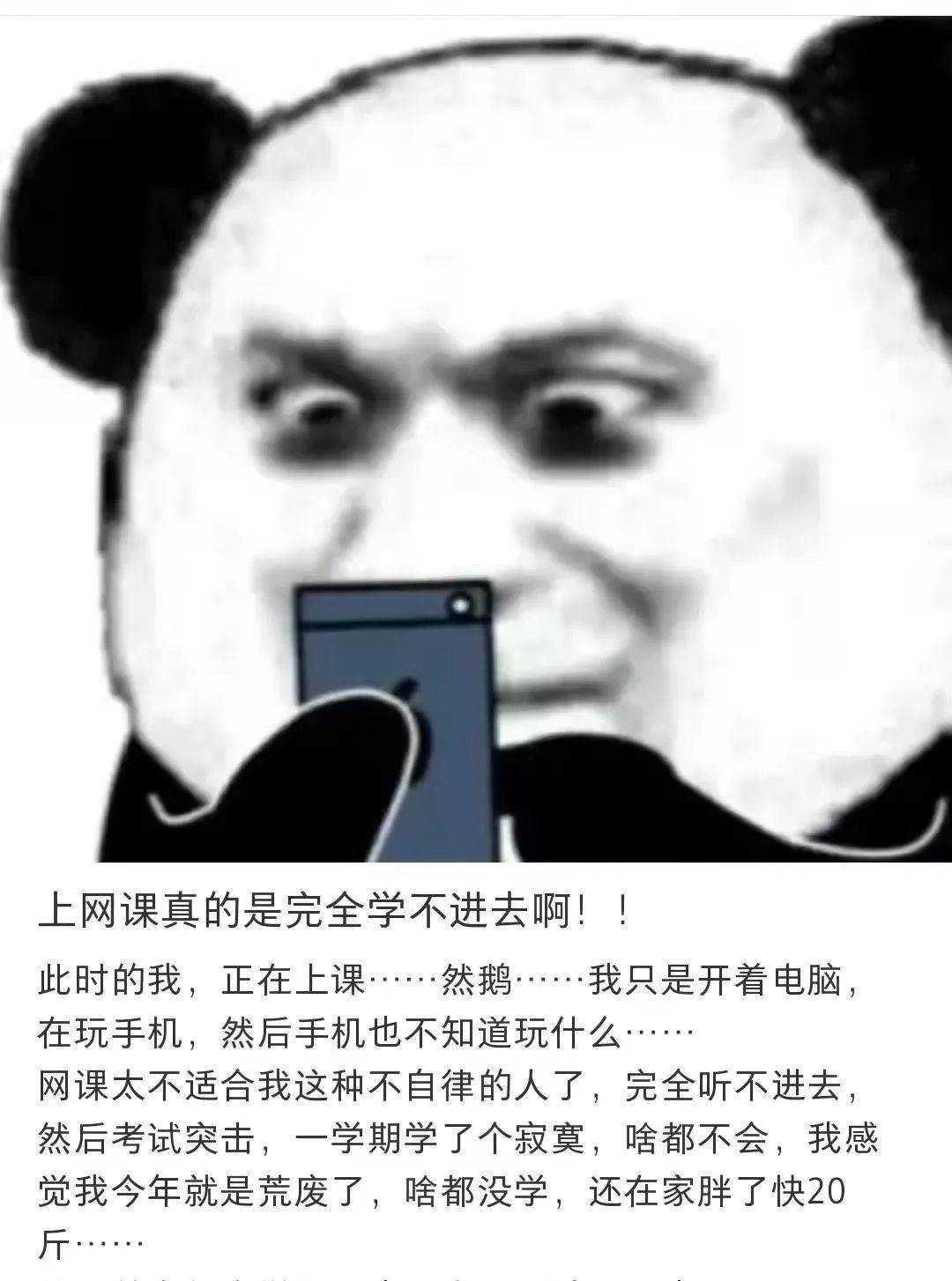 学生上网课搞笑图片图片