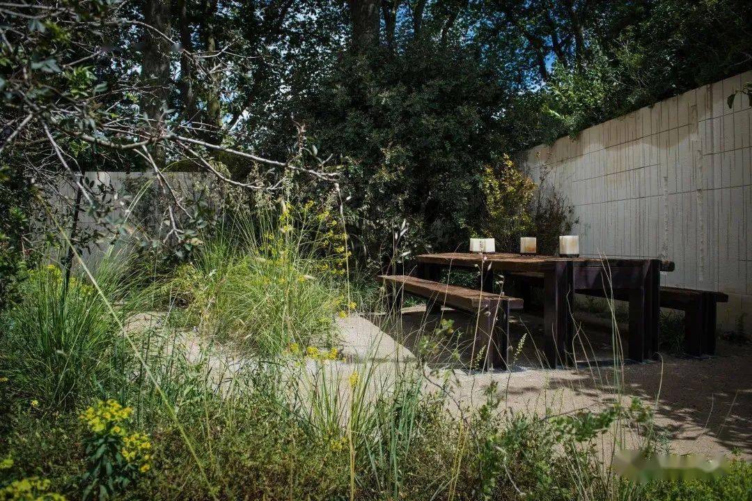 荒野还需要设计吗丨2022世界花园大会线上论坛