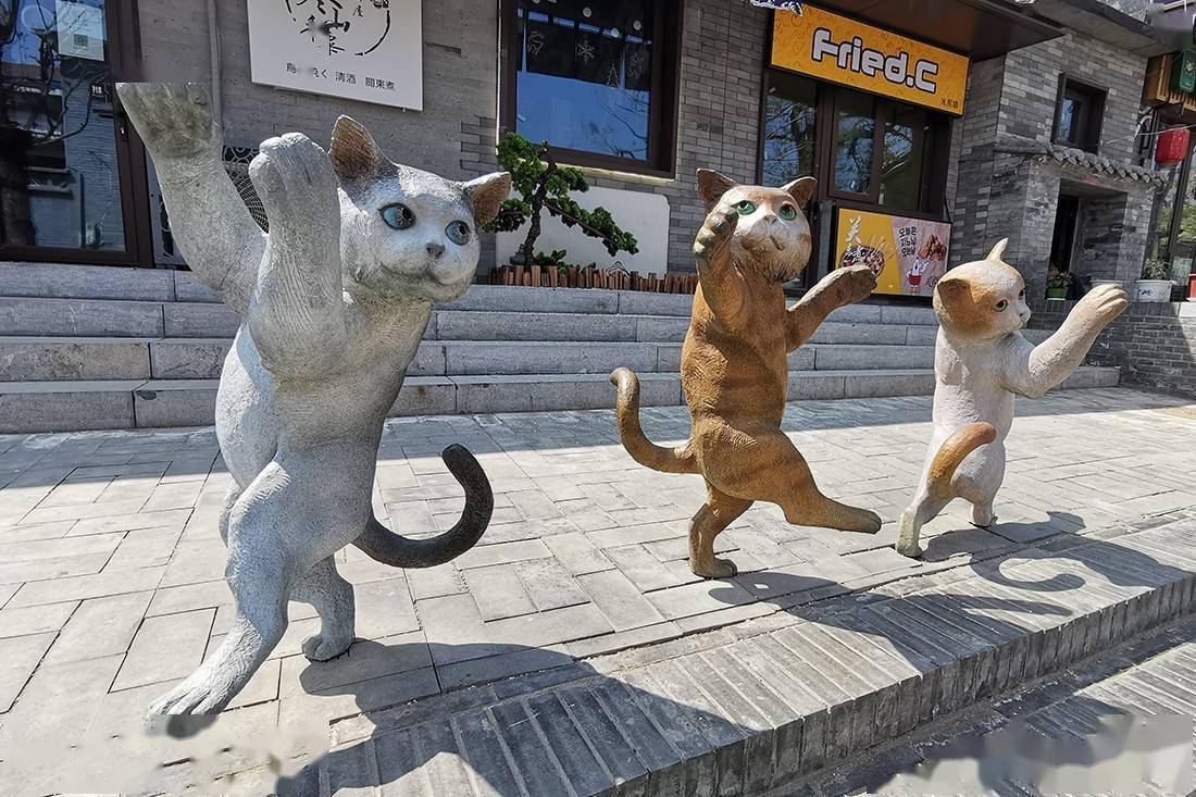 京西古道模式口栩栩如生的猫雕塑遛娃好去处