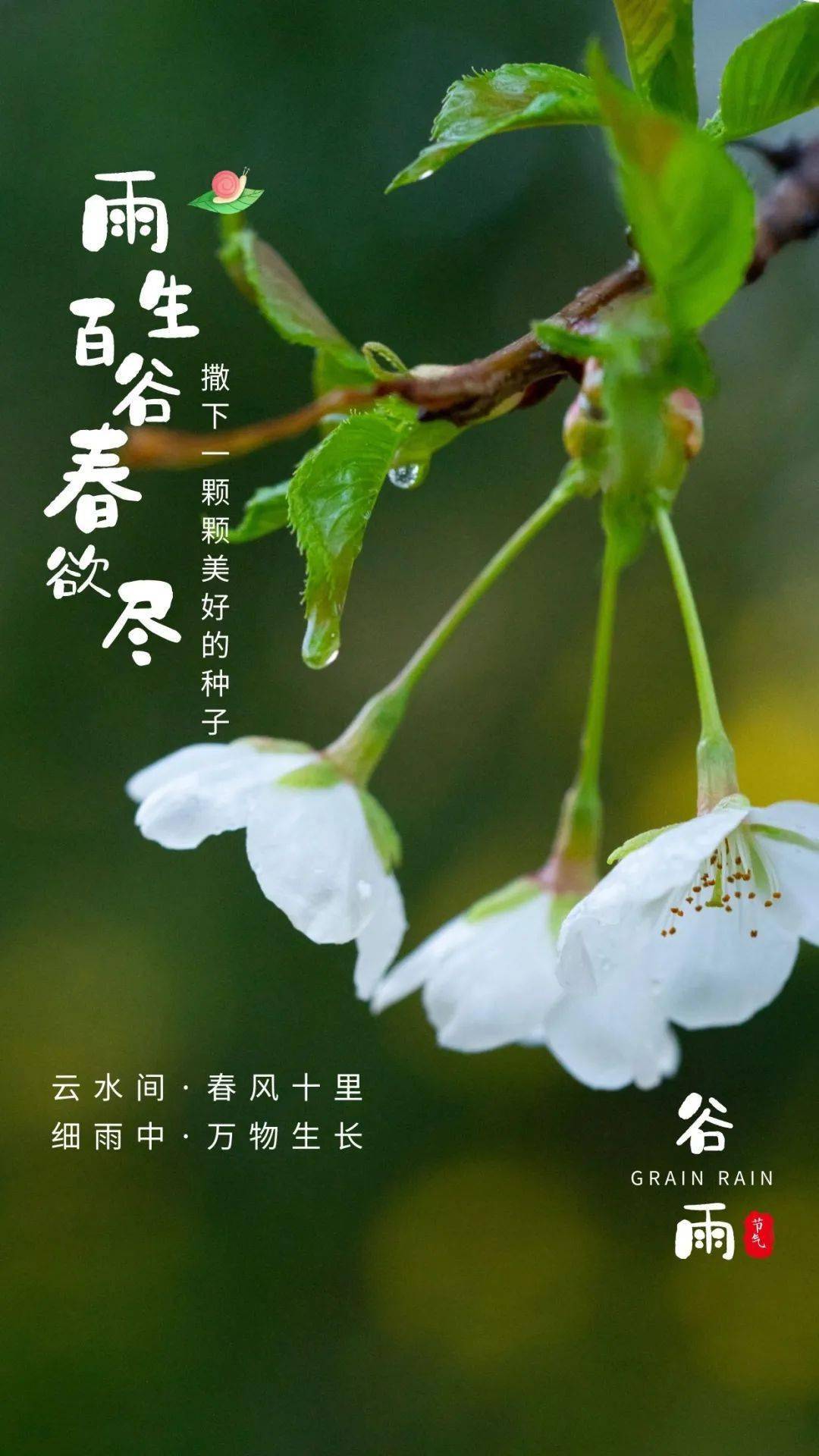 4月20号早安 | 谷雨_生活_都随_才会来