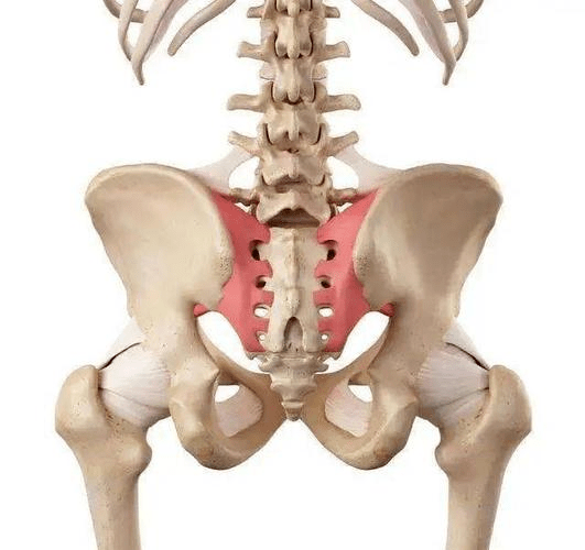 骶髂关节炎主要疼痛位置在腰部和骶尾部,疼痛为钝痛,可放射至臀部