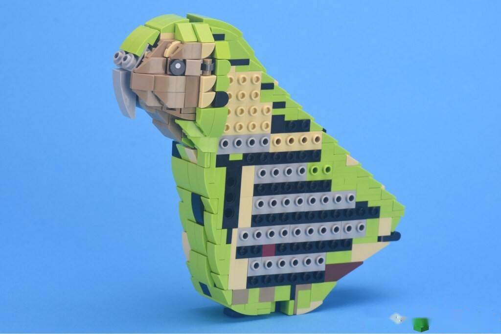 世界上唯一一种不会飞行的鹦鹉用乐高搭建出的它是什么样子呢